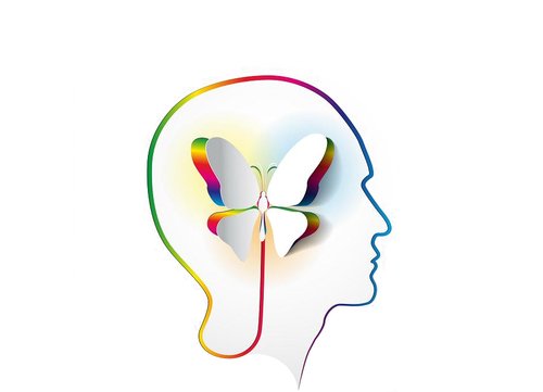 Jobbagyféltekés Tanulásmódszertan